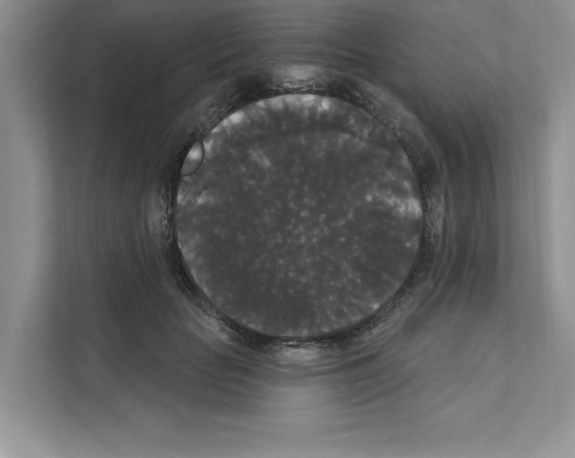 X0000111020653200907310933