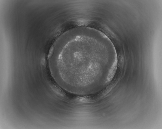 X0000111020655200907310933
