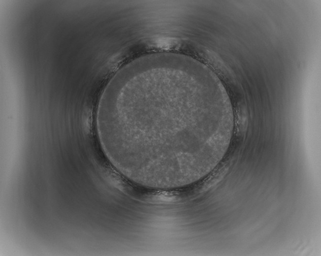 X0000111020656200907310933