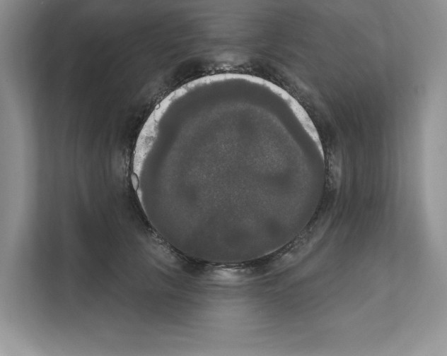 X0000111020657200907310933