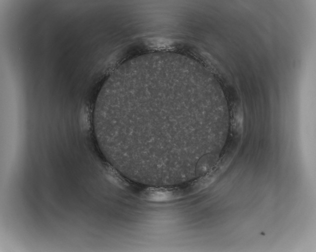 X0000111020658200907310933