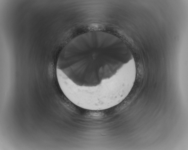 X0000111020659200907310933