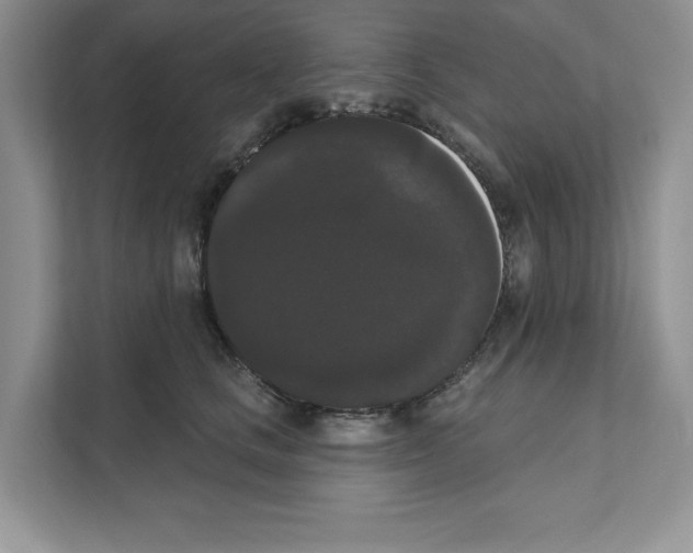 X0000111020661200907310933