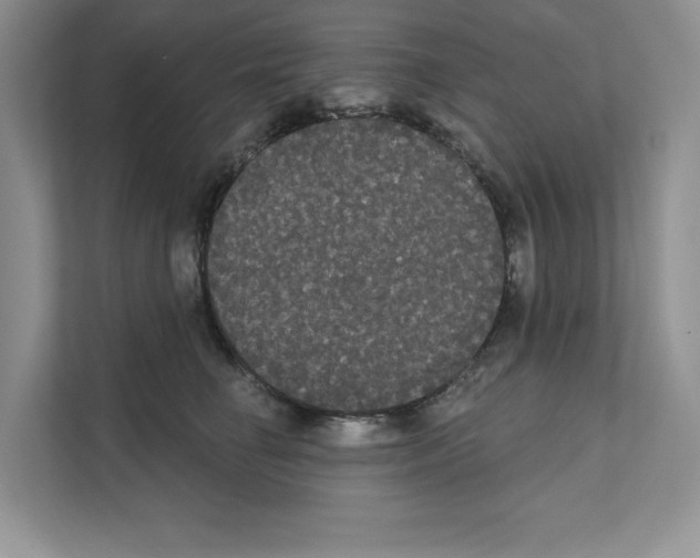 X0000111020662200907310933
