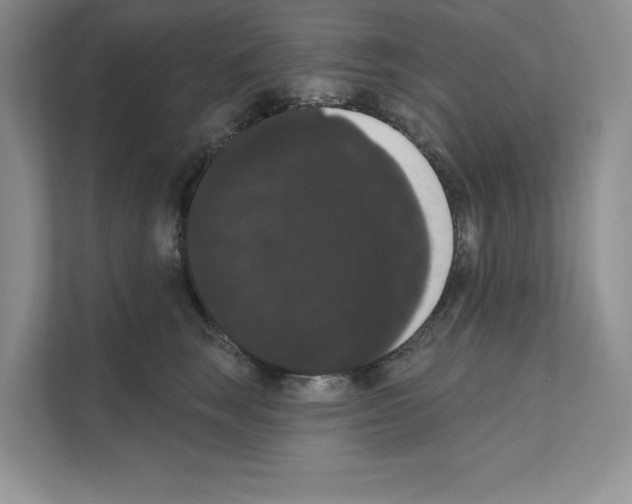 X0000111020663200907310933