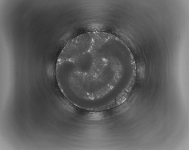 X0000111020665200907310933