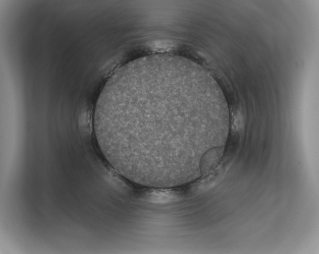 X0000111020666200907310933