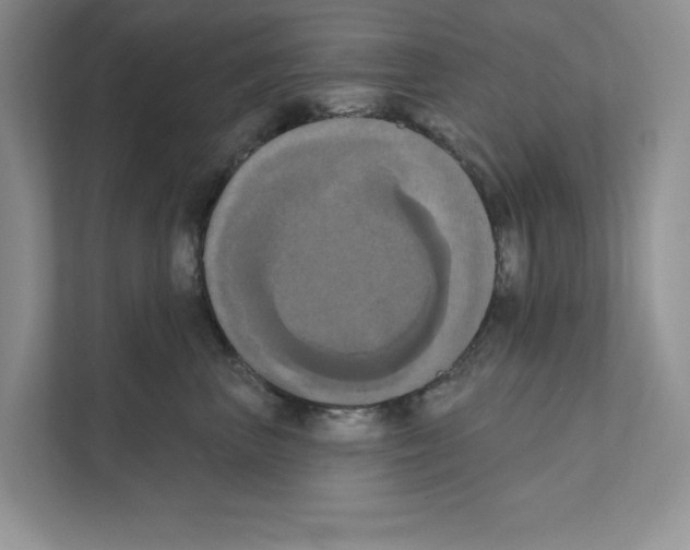 X0000111020667200907310933