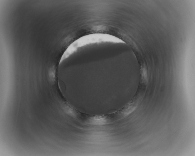 X0000111020668200907310933