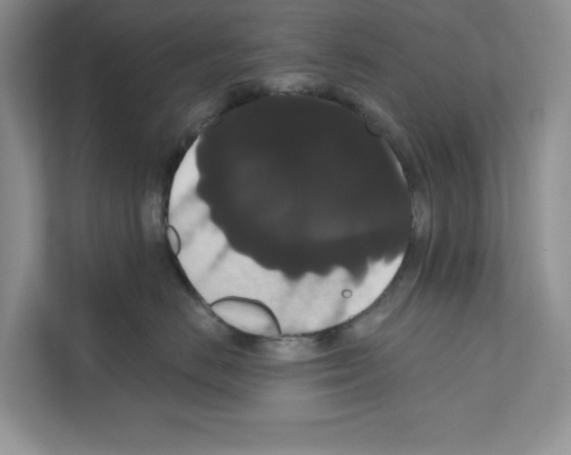 X0000111020670200907310933