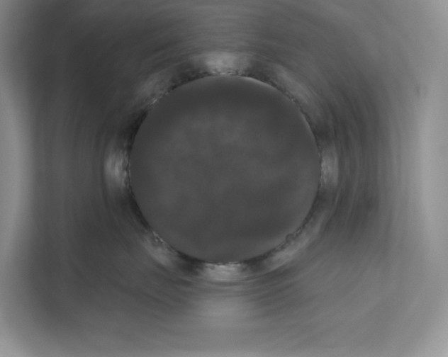 X0000111020671200907310933