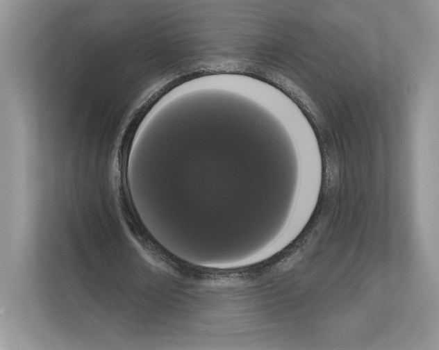 X0000111020674200907310932