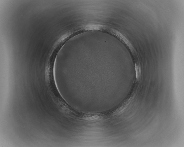 X0000111020675200907310932