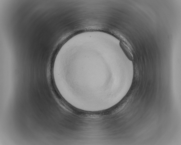 X0000111020677200907310932