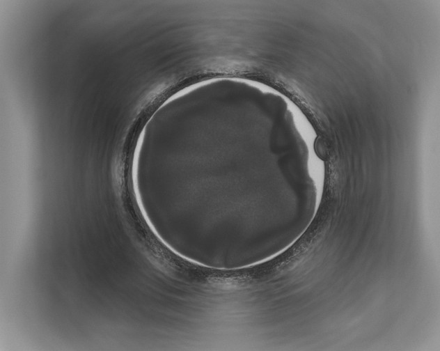 X0000111020679200907310932