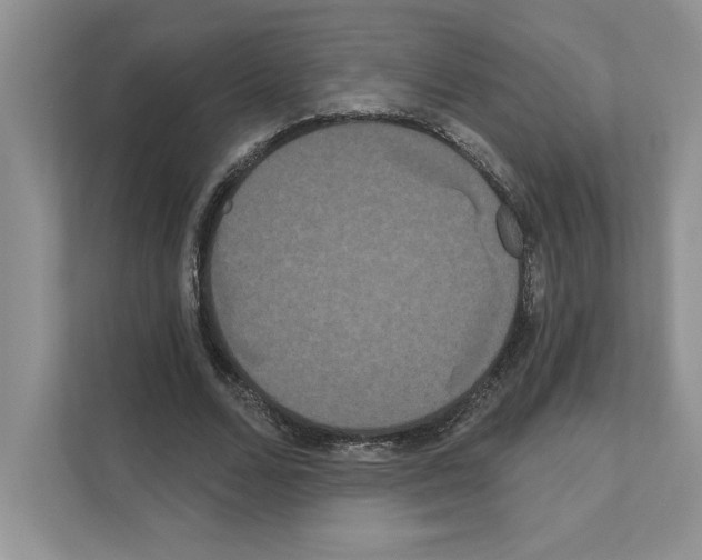 X0000111020680200907310932