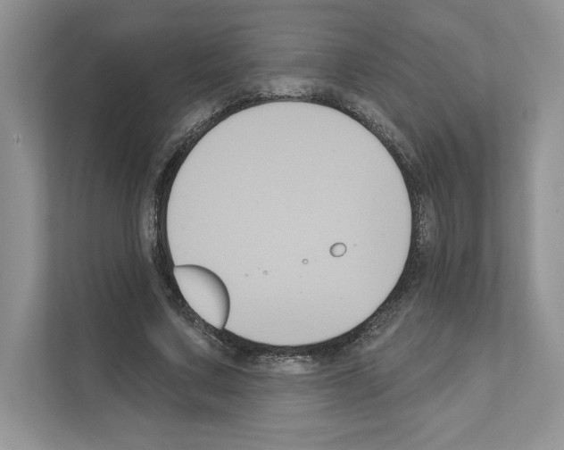 X0000111020683200907310932