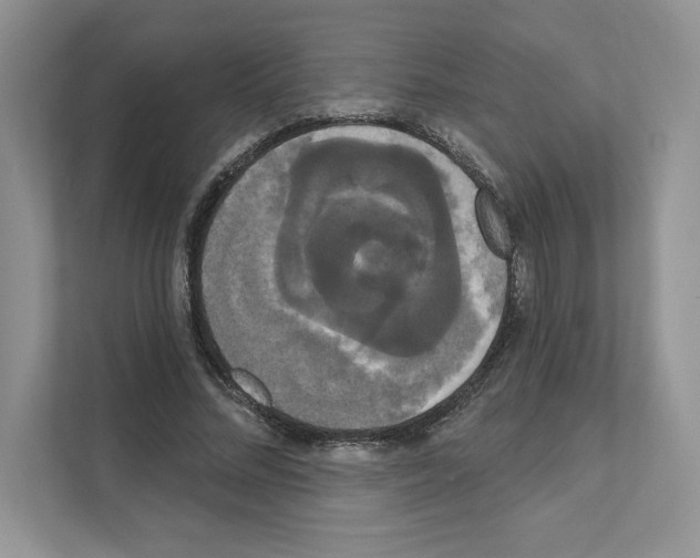 X0000111020684200907310932