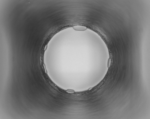 X0000111020685200907310932