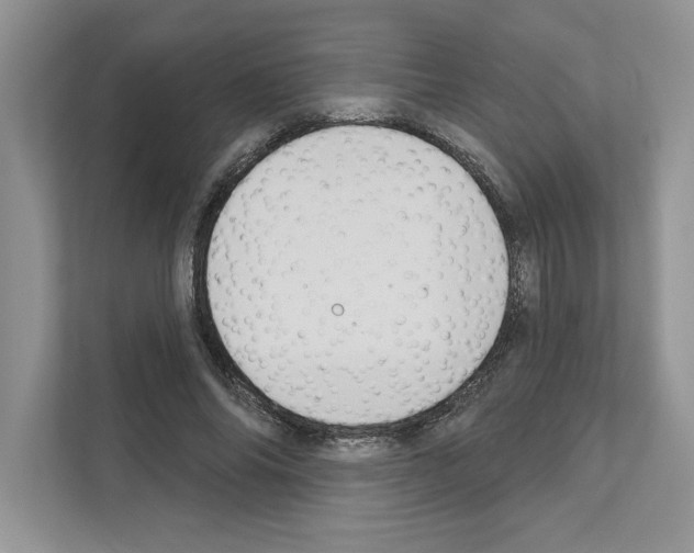 X0000111020686200907310932