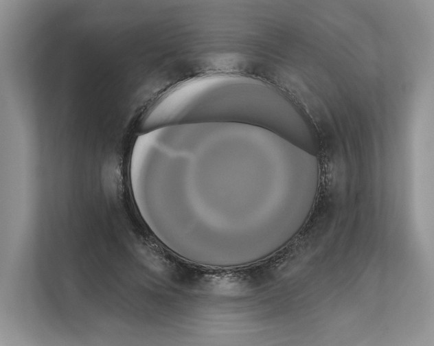 X0000111020688200907310932