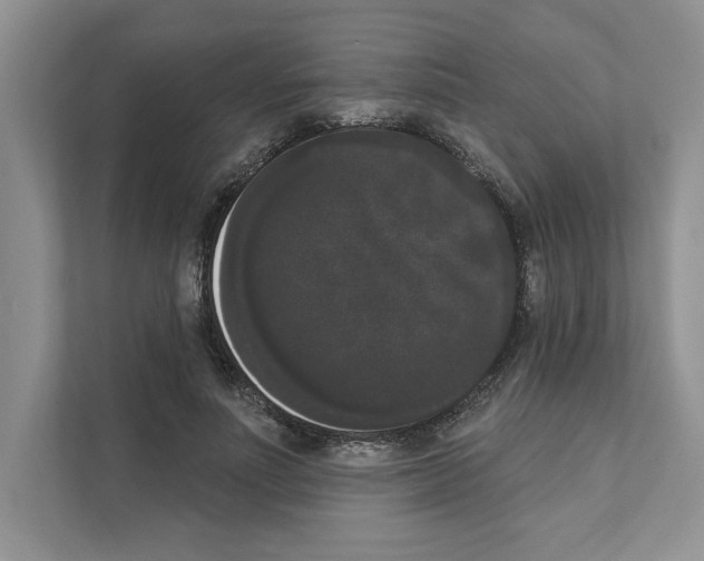 X0000111020691200907310932