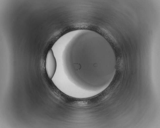 X0000111020692200907310932