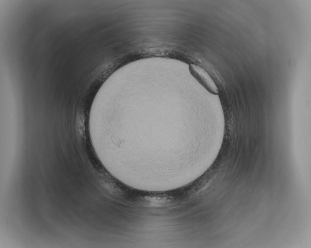 X0000111020693200907310932