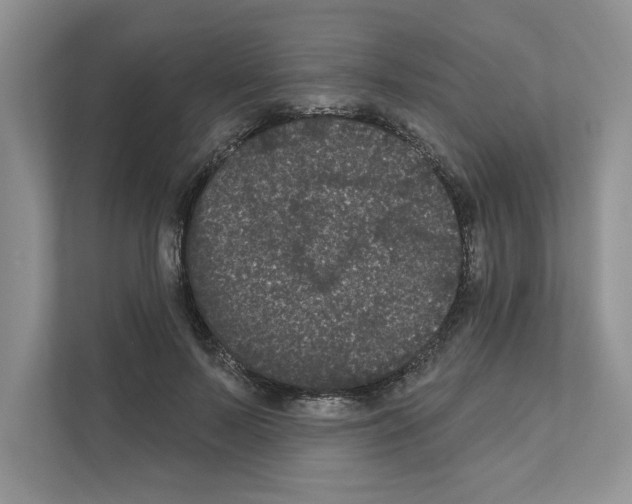 X0000111020695200907310932