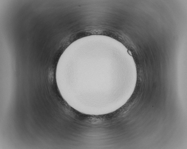 X0000111020697200907310932