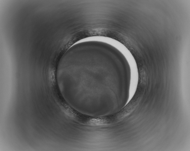 X0000111020699200907310932