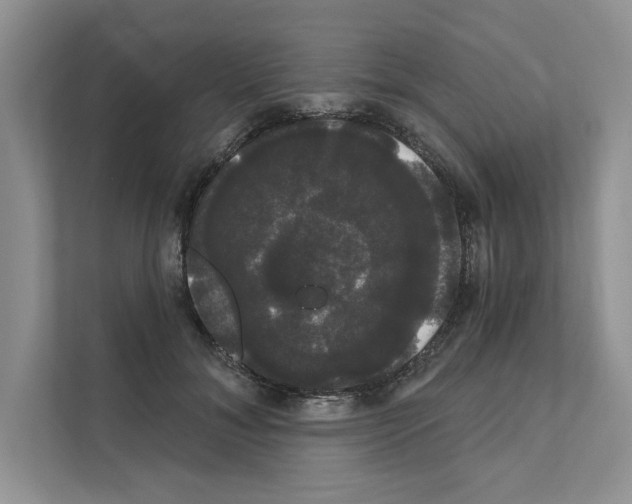 X0000111020700200907310932