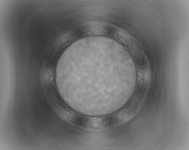 X0000111020701200907310932