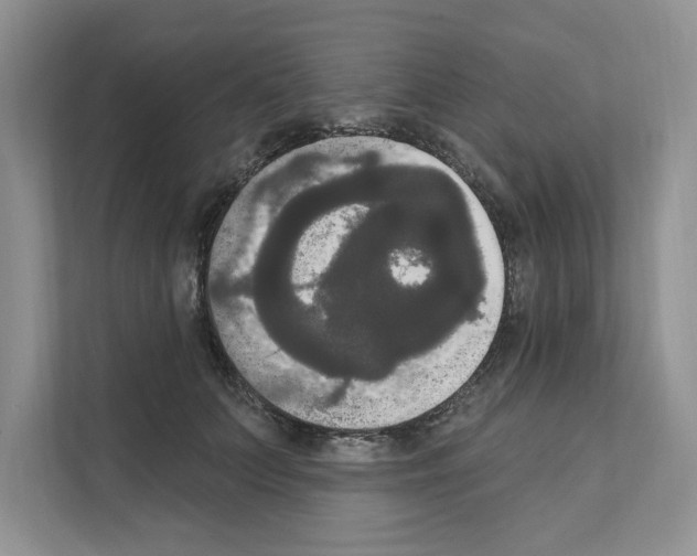 X0000111020703200907310932