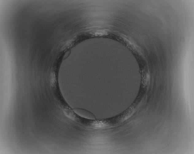 X0000111020704200907310932