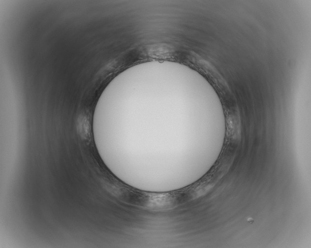 X0000111020705200907310932