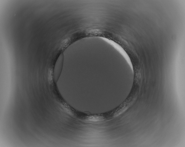 X0000111020708200907310932