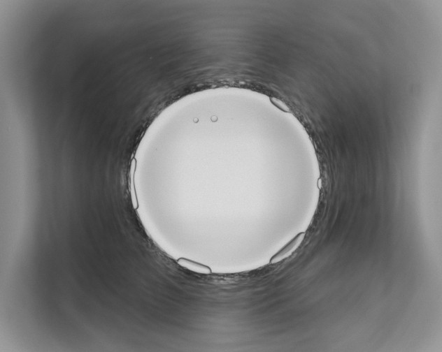 X0000111020709200907310932