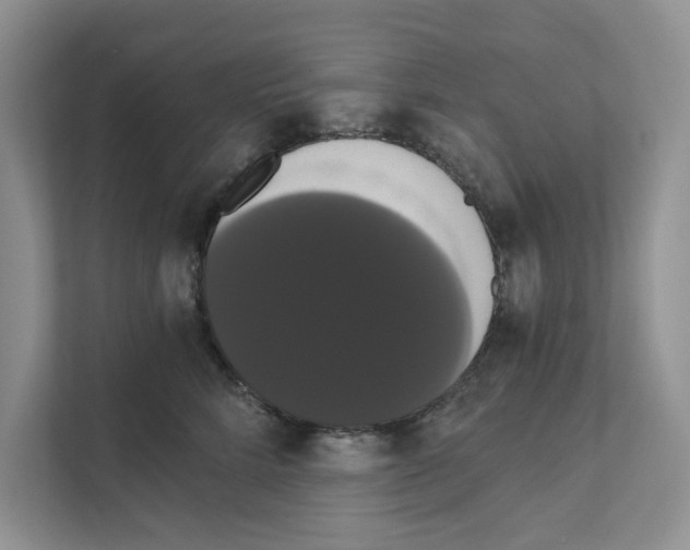 X0000111020712200907310932