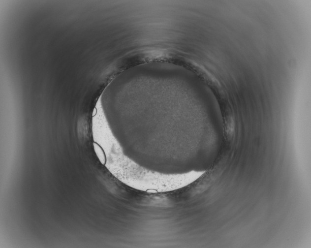 X0000111020715200907310932