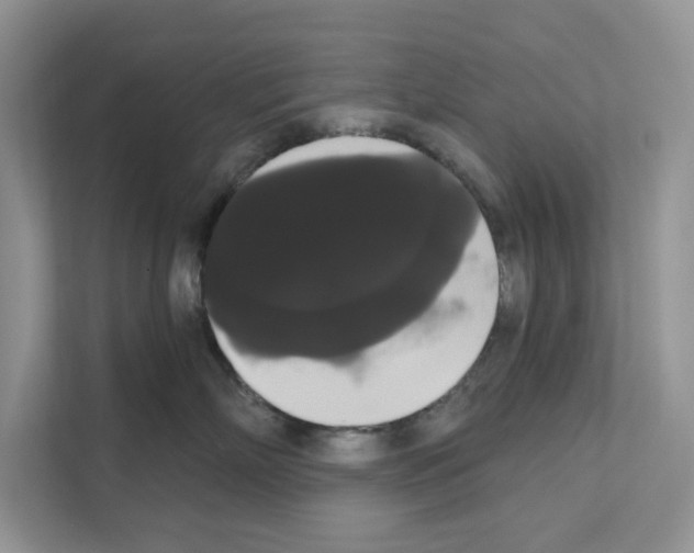 X0000111020718200907310932