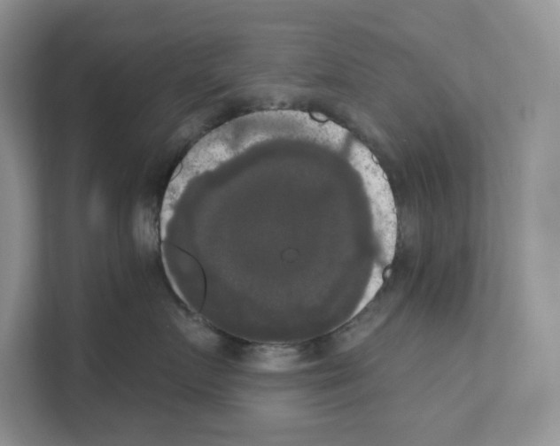 X0000111020719200907310932