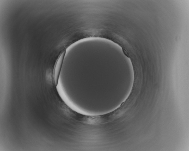 X0000111020720200907310932