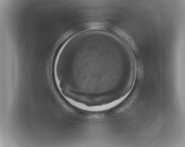 X0000111020721200907310931