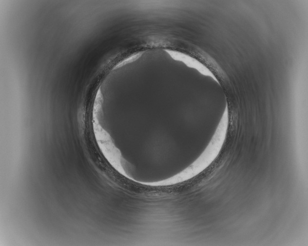 X0000111020722200907310931