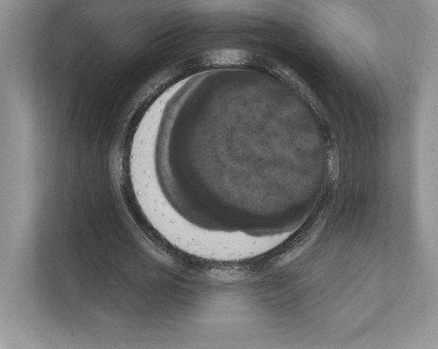 X0000111020725200907310931