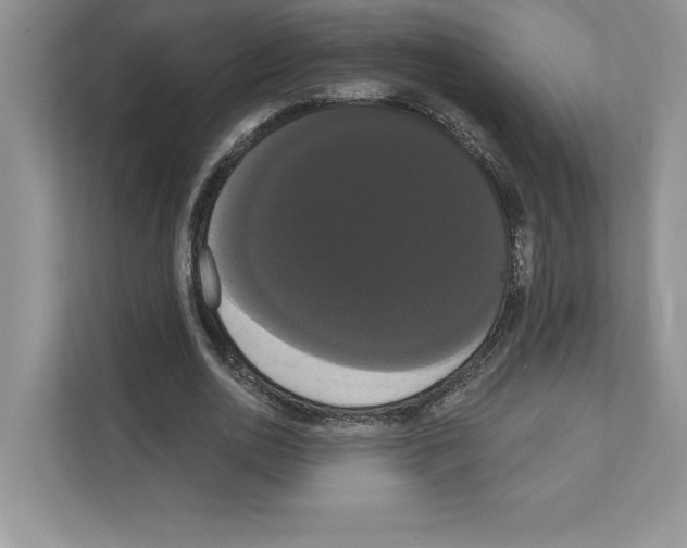 X0000111020726200907310931