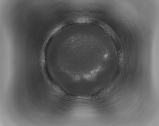 X0000111020727200907310931