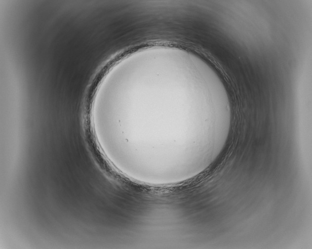 X0000111020728200907310931