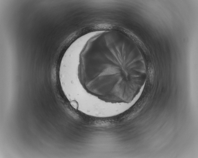 X0000111020729200907310931